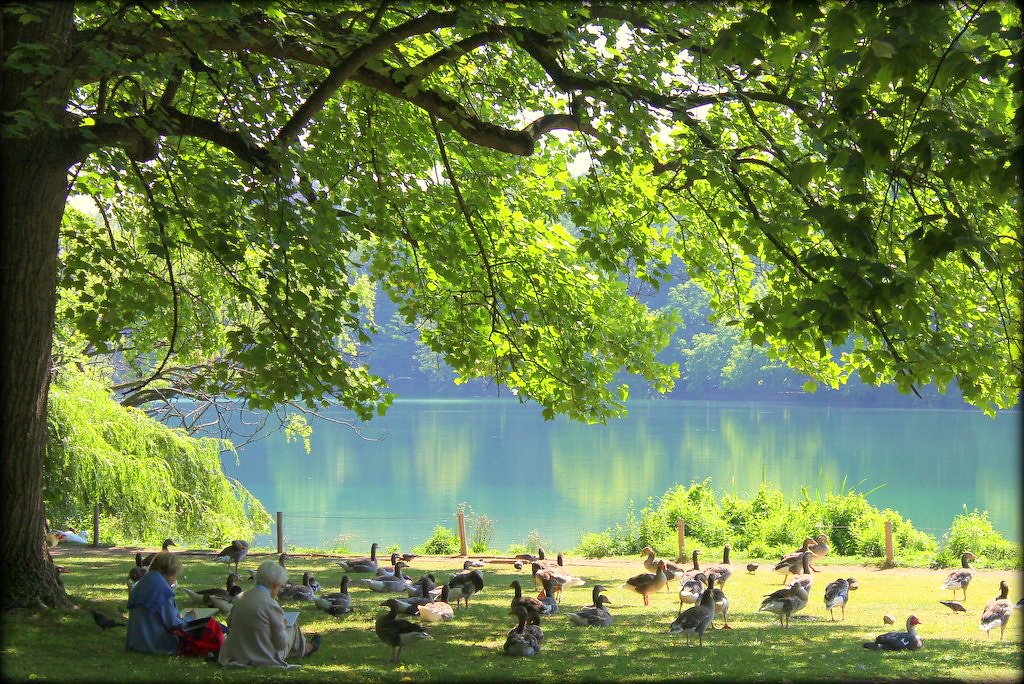 Parc de la Tête d'Or