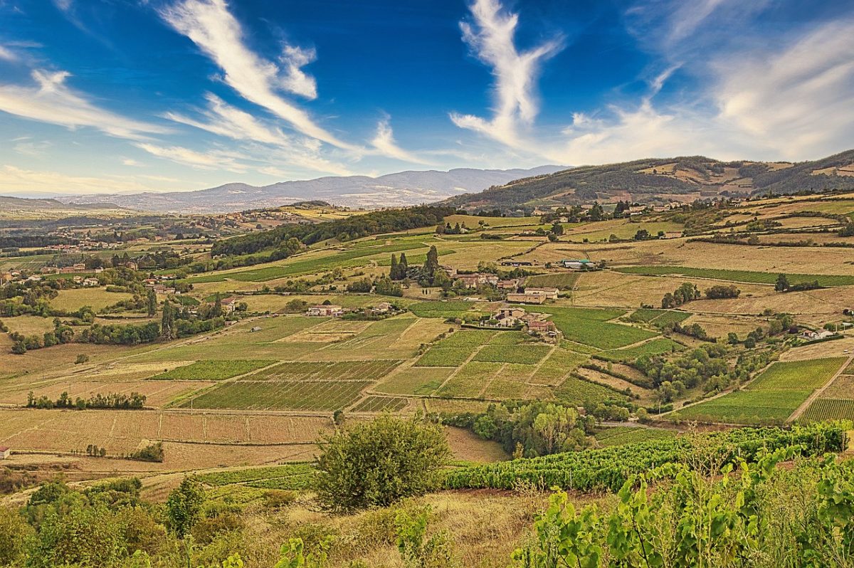 Beaujolais