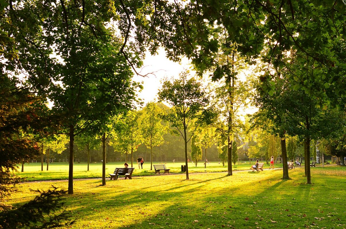 parc de la tete d'or